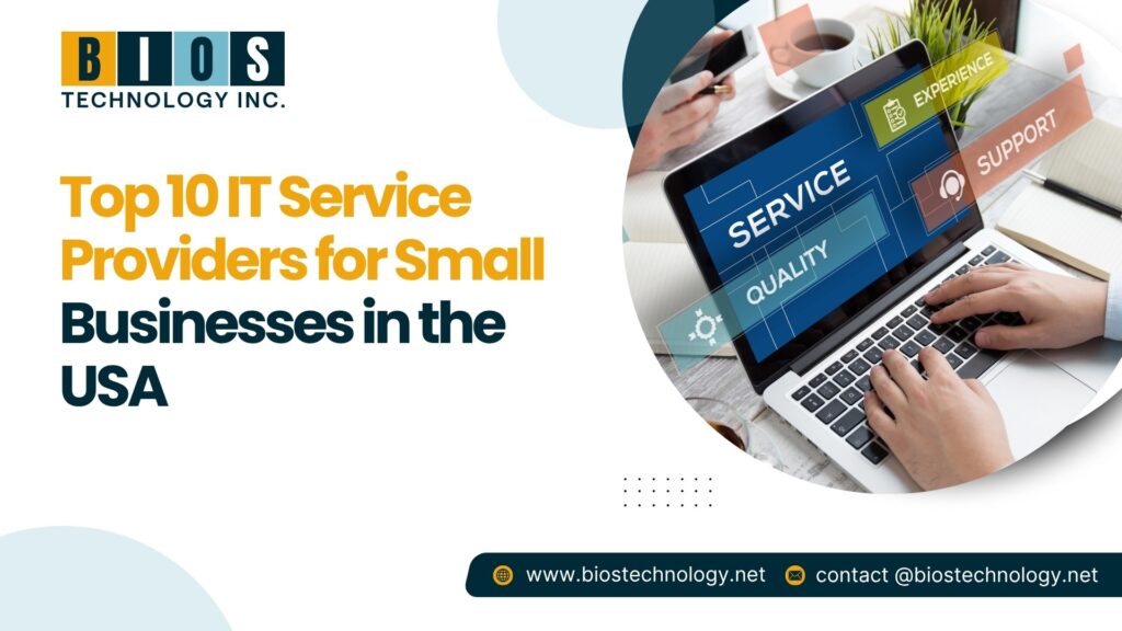 IT Service Providers
